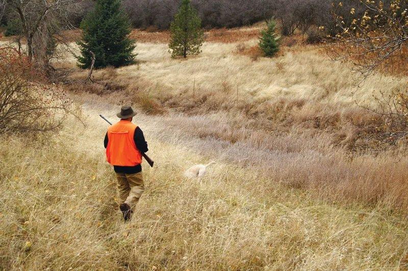 In some places, hunting has evolved into a sport with competitions based on marksmanship, tracking, and endurance.