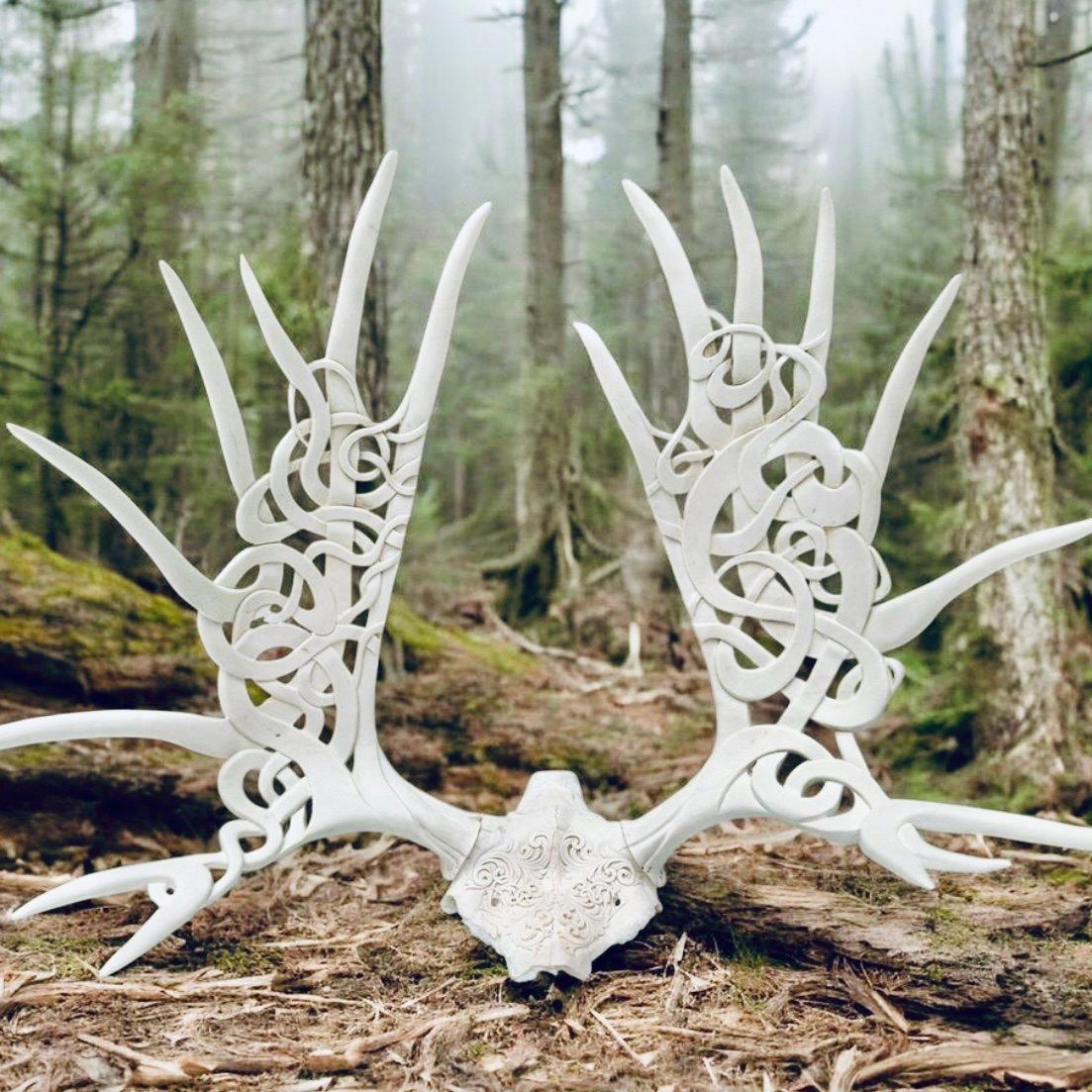 I don't really like it when trophy horns are manipulated, varnished or painted...