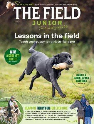 The Field Junior Magazine