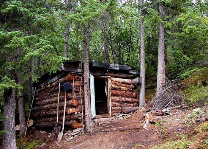 Лесной домик (лесная избушка) — сезонное жильё во время деятельности в лесу вне поселения: у лесных дорог и охотничьих троп (охотничий домик), на дальних промыслах (промысловая избушка) и сенокосах.