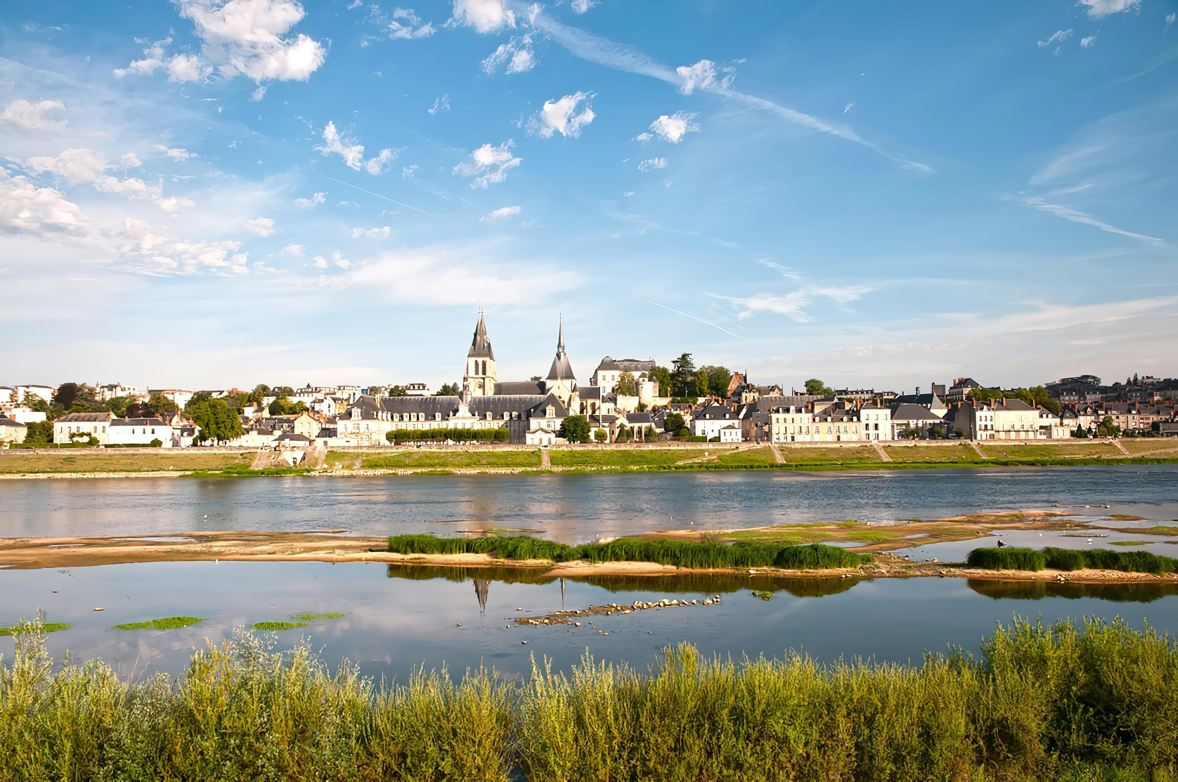 Chasse dans le LOIR-ET-CHER: Explorez une Faune Riche, des Saisons de Chasse Parfaites et des Paysages Magnifiques 