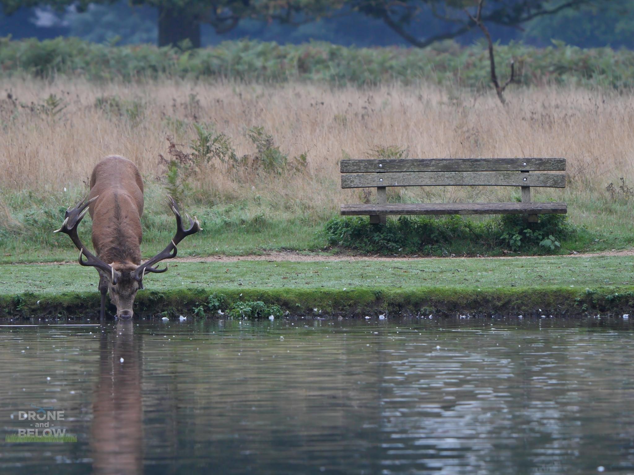 An Early Start for a Day Immersed in Nature’s Beauty at the Royal Park
