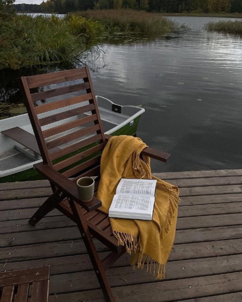 perfect spot for reading