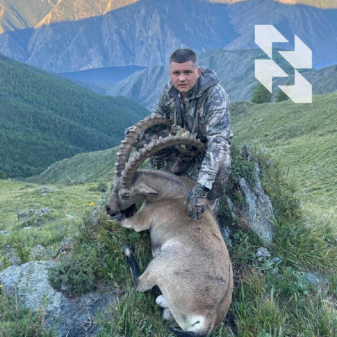 🇷🇺 Jedini kozorog dostupan za lov u Ruskoj Federaciji: sibirska planinska koza.