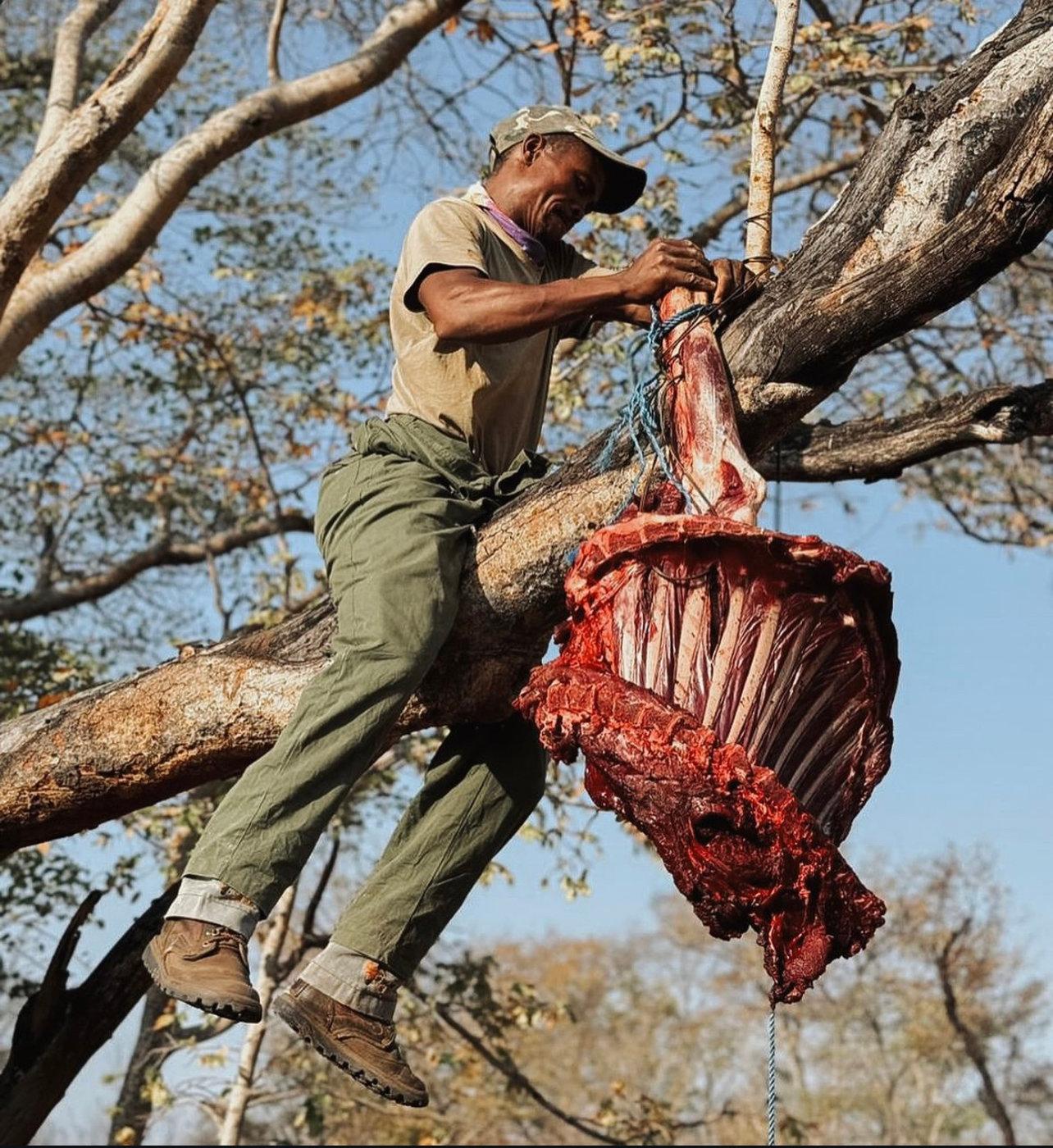 The Ultimate Guide to Hunting in Africa: An Adventure of a Lifetime