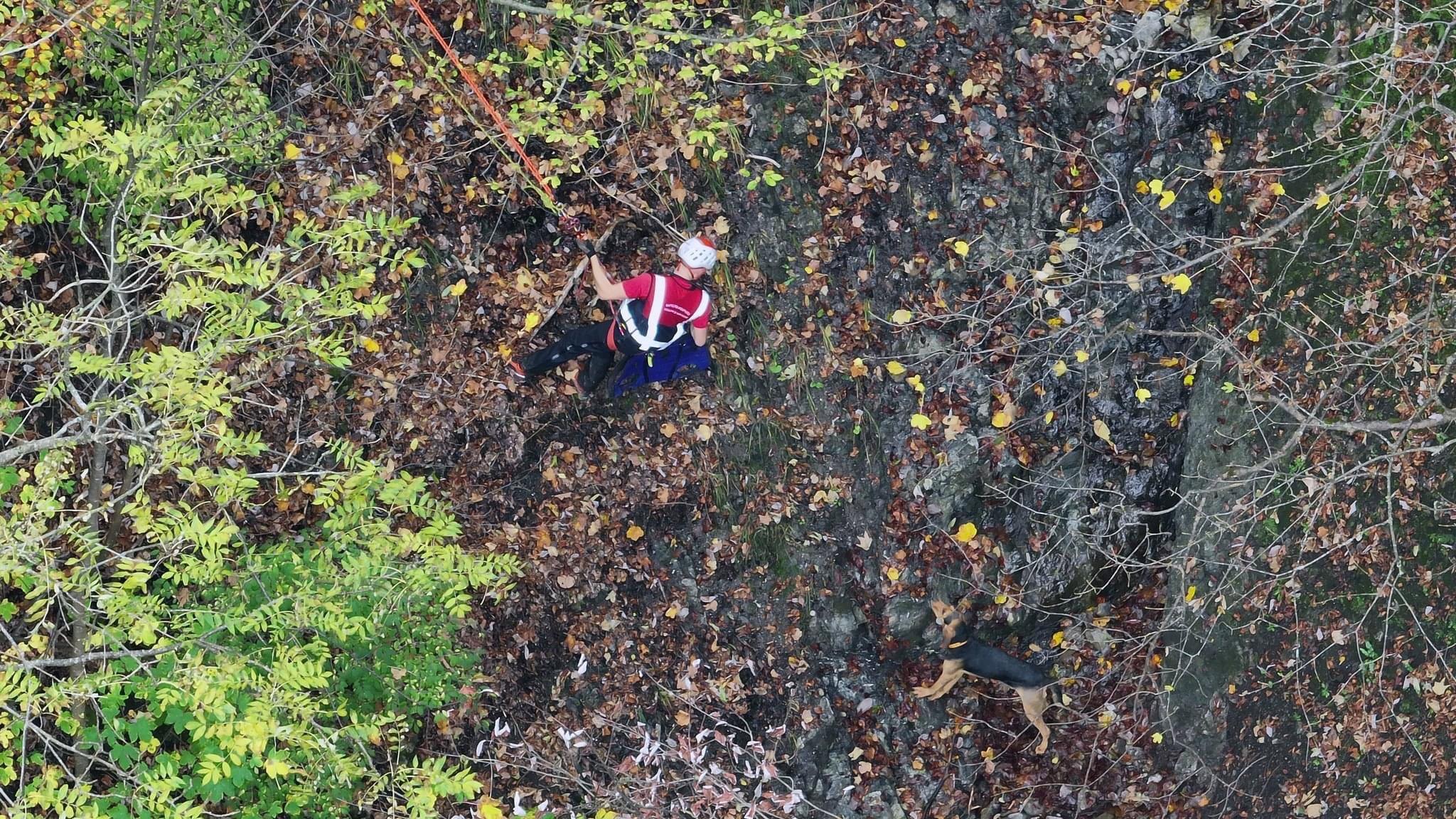 « Un chien perdu depuis 4 jours retrouvé à l’aide d’un drone à La Balme de Thuy » 😲