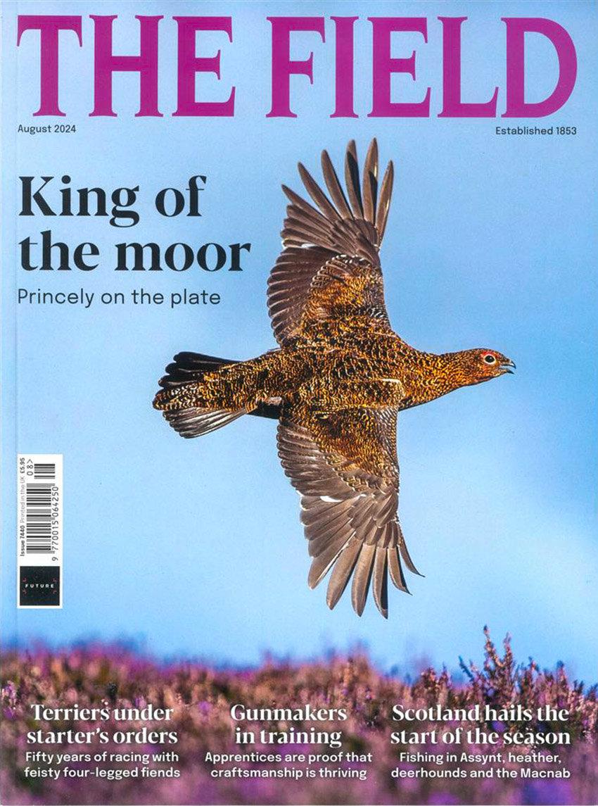 The Field Magazine