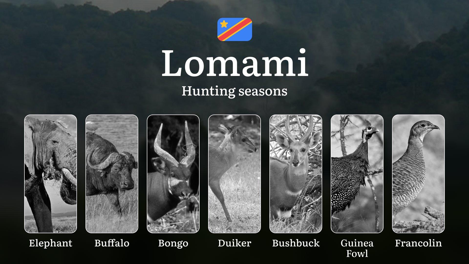 Hunting Seasons in Lomami Province: Permitted Seasons, Temporary Prohibitions, Licensing Regulations, Penalties for Infractions, Tactical Planning, and Gear Selection 