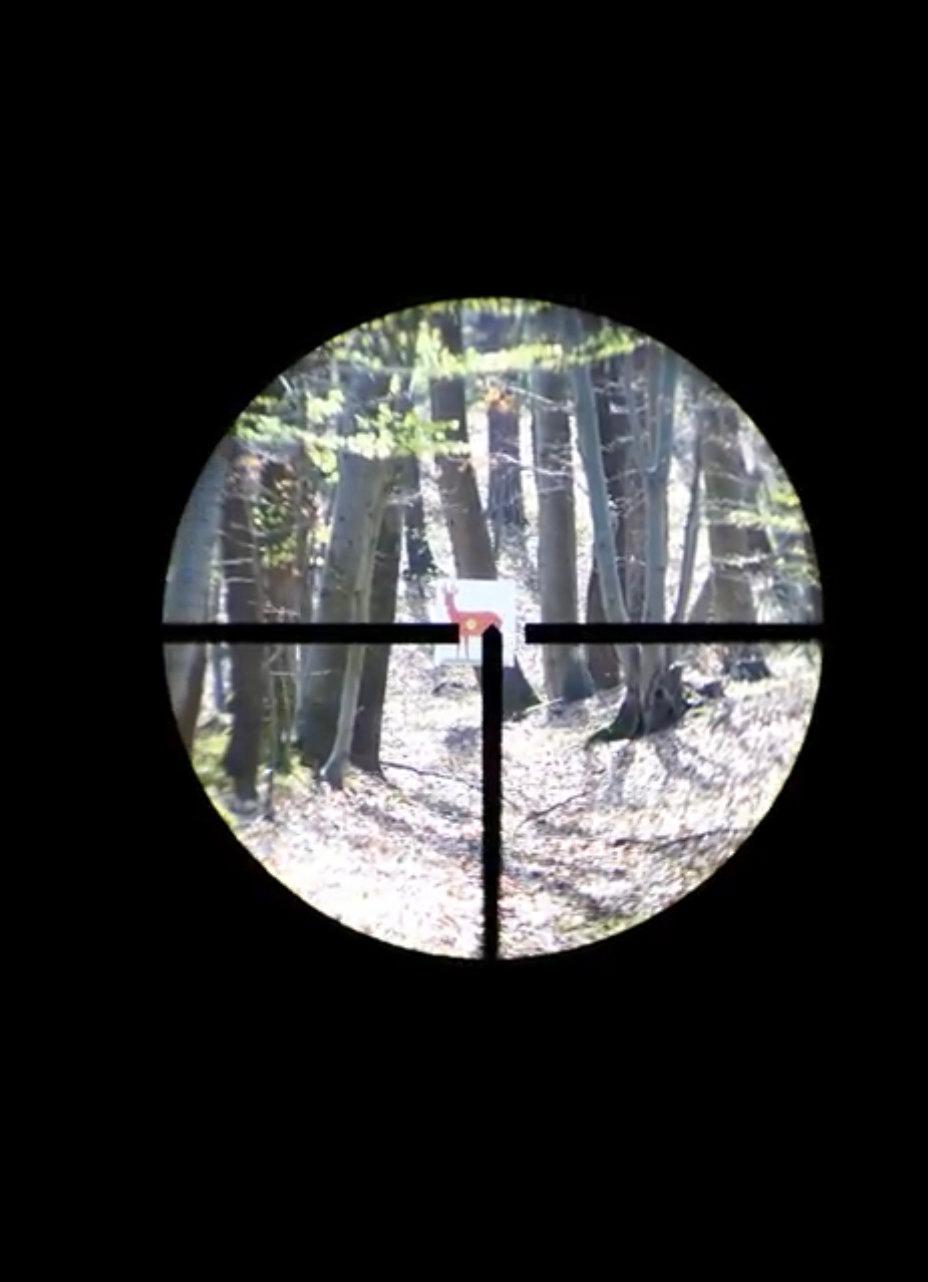 Review of the Doctor 1.5-6x42 Optical Scope (Non-Illuminated)