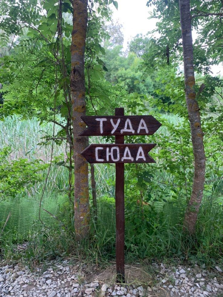 Сегодня решила прогуляться по лесу и наткнулась на крутые таблички с надписями!