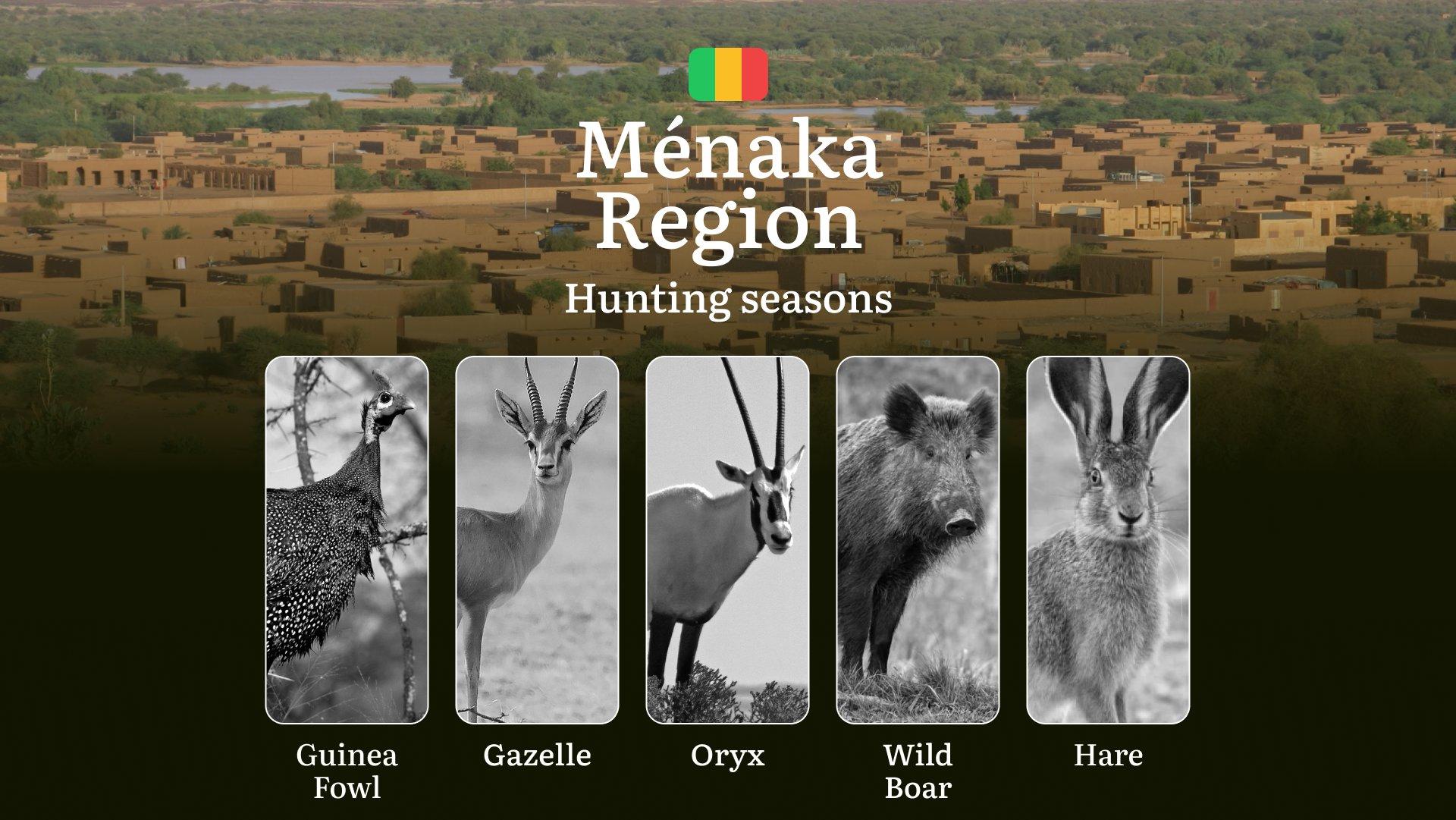 Hunting Season Dates in Ménaka Region: Hunting Periods, Species and Season Bans, Joining the Hunt, Getting Licensed, Penalties That Can Ruin Season, Expert Picks, Timing, Tools