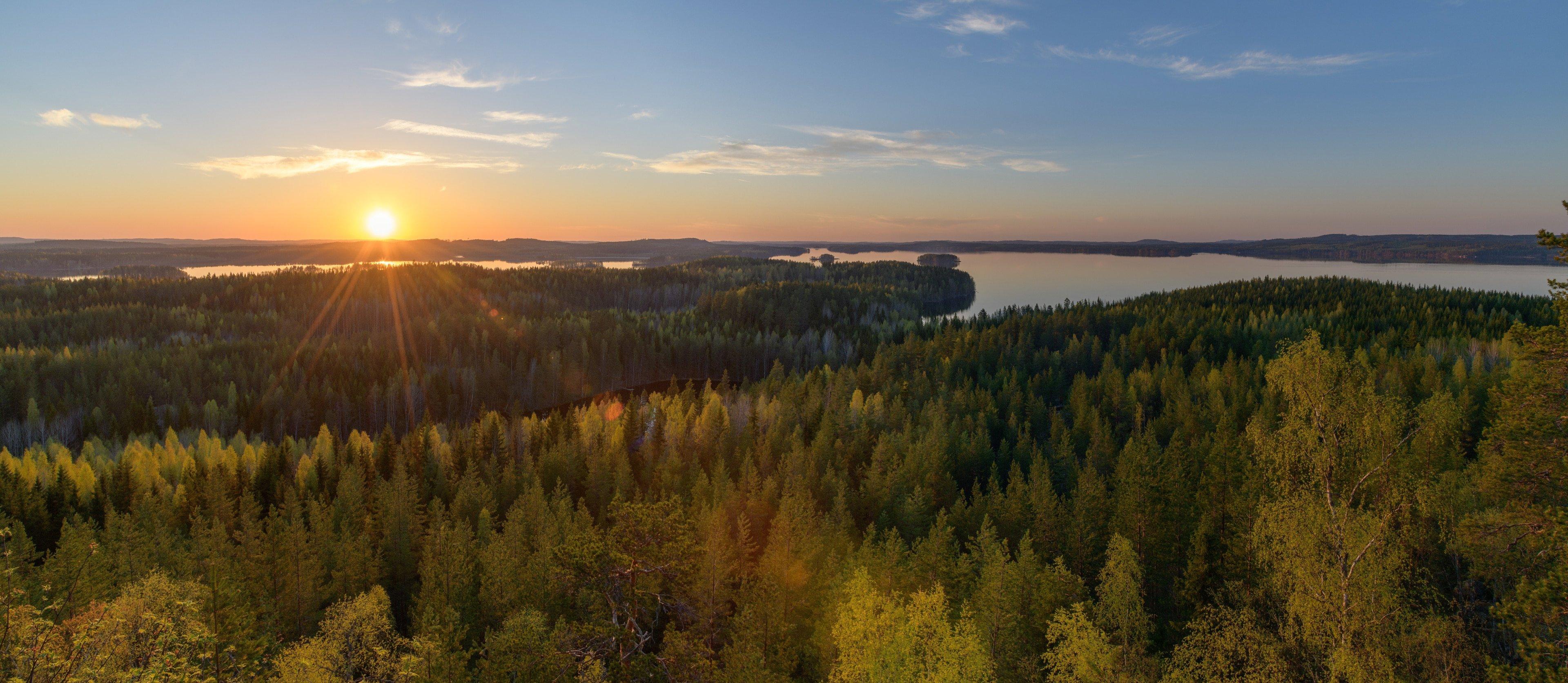 Laukaa Hunting: A Deep Dive into Geography, Laws and Demographics, Types, and Legislation