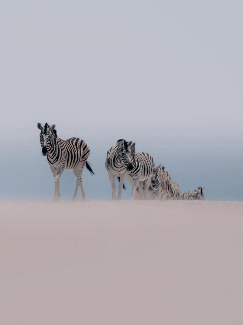 In the early morning mist 