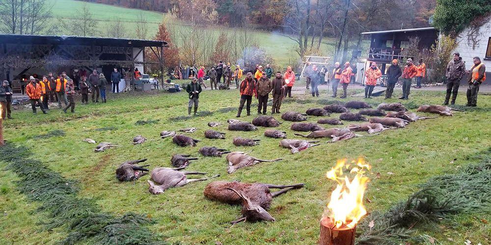 2018, Oberwesel area of Germany.