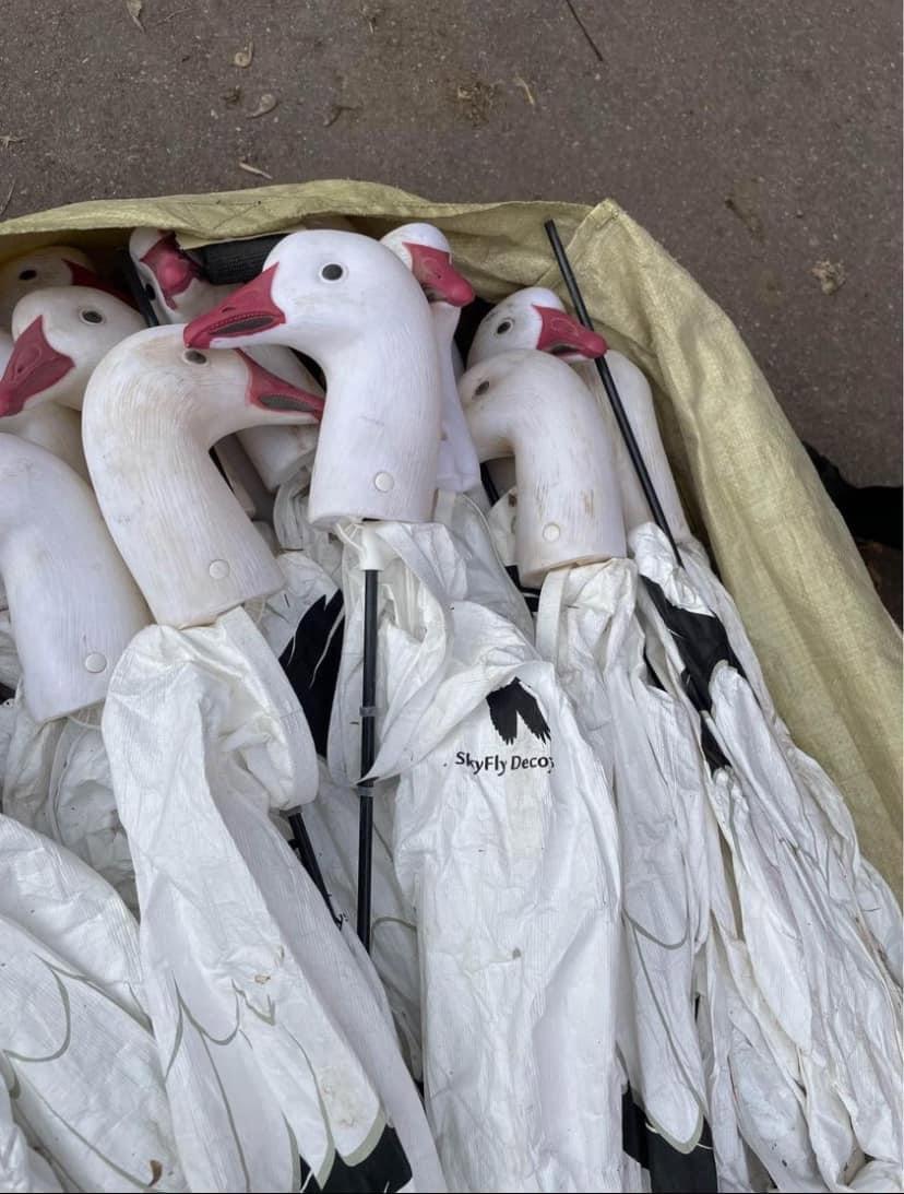 9 dozen skyfly 3D snow goose decoys asking $300