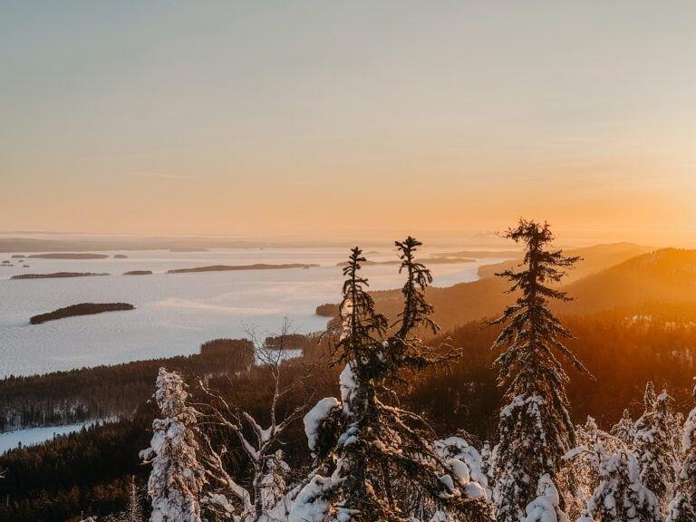Koli National Park Hunting: Guide: Seasons, Clubs, Legislation, Communities and Local Traditions