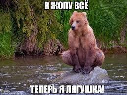 Медведи захватили кладбище в Хабаровском крае и пытаются выкопать тела