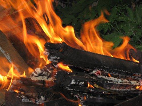 Как-то выехали с товарищем вечером после рабочего дня на небольшое болотце недалеко от нашего города на вечерку.
