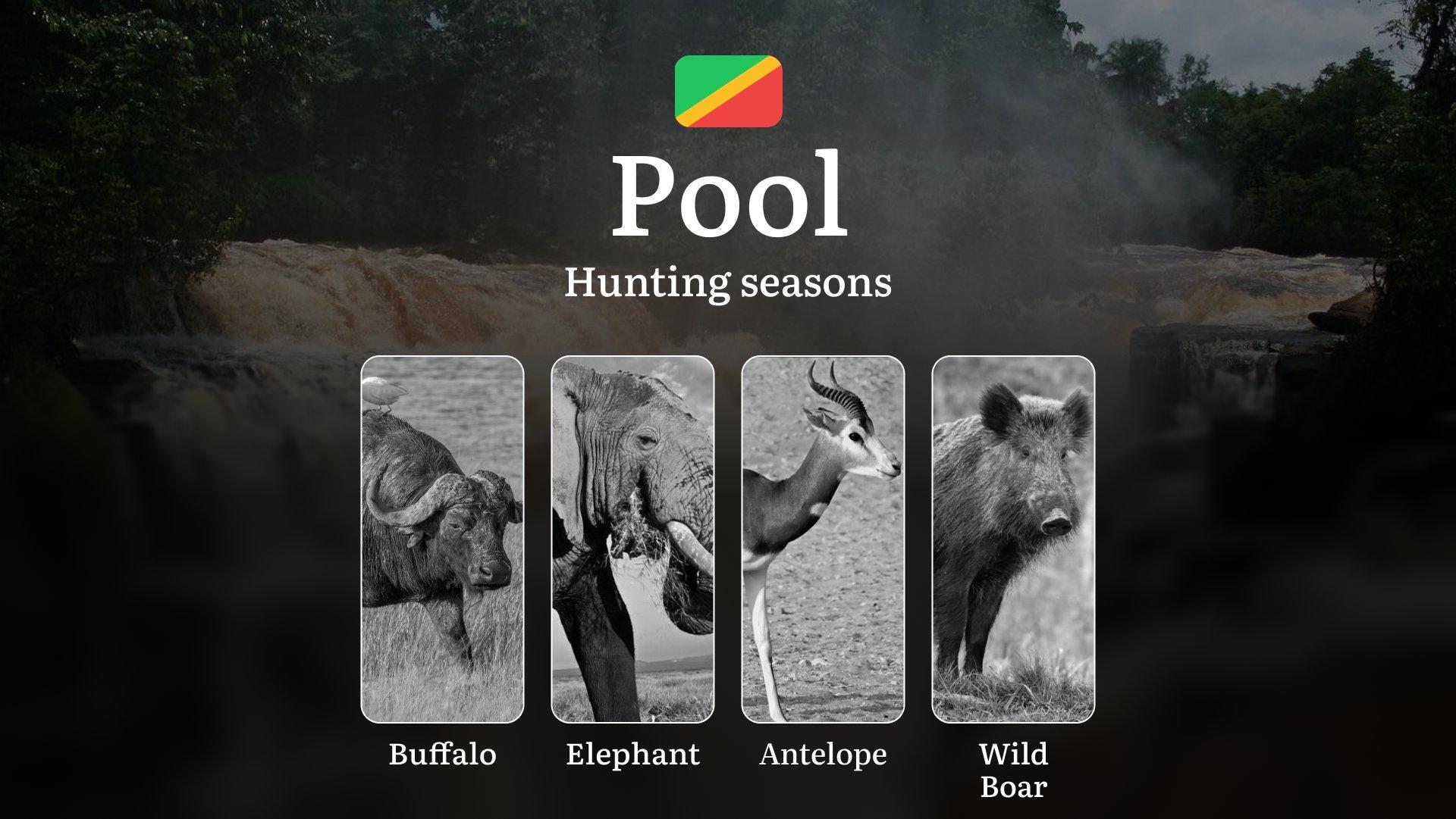 Hunting Seasons in the Pool Region, Republic of the Congo: Regulations, Permits and Times for Hunting, Limits and Rules for Hunters