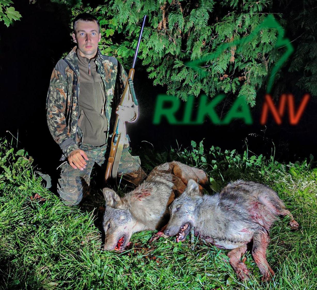 🐺🤬Sjećate li se priče s vukovima koji su stekli naviku ulaziti u nastambu?