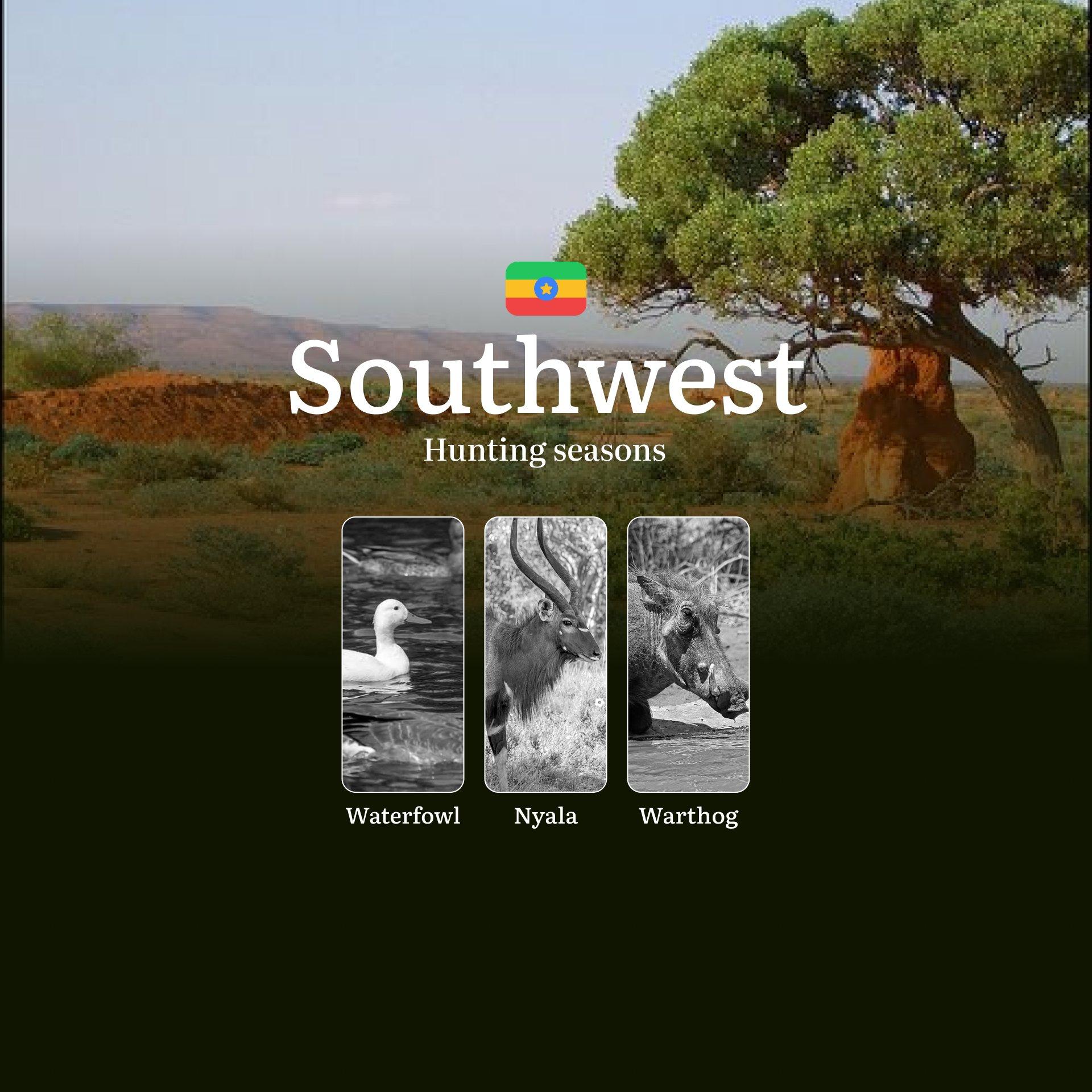 Seasons of Hunting in Ethiopia’s SOUTHWEST Region: Seasonality, Licenses, and Rules for Successful Hunting, Restrictions and Prohibitions