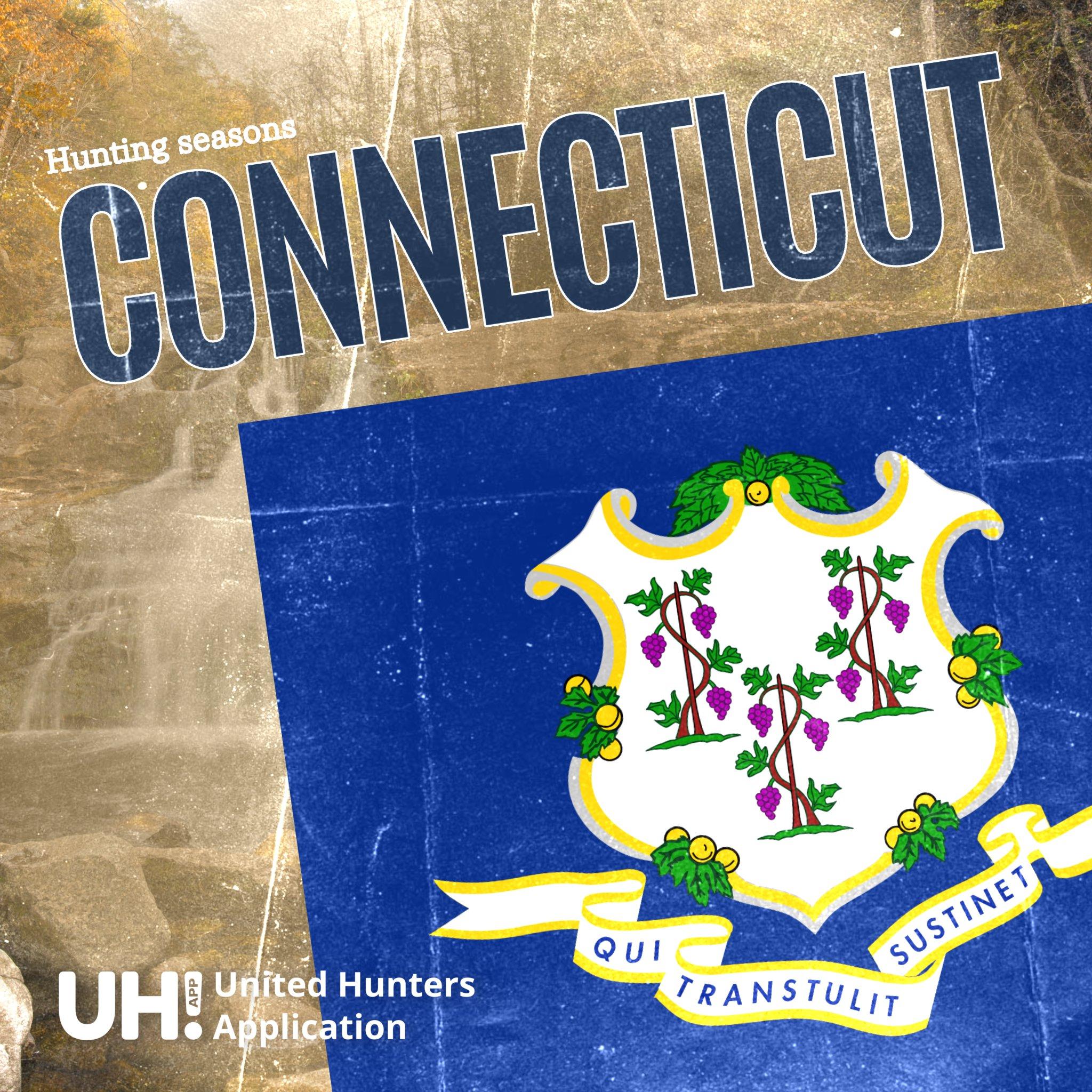 Hunting Seasons in Connecticut 2025: Big Game and Small Game, Licenses, and Regulations Guide