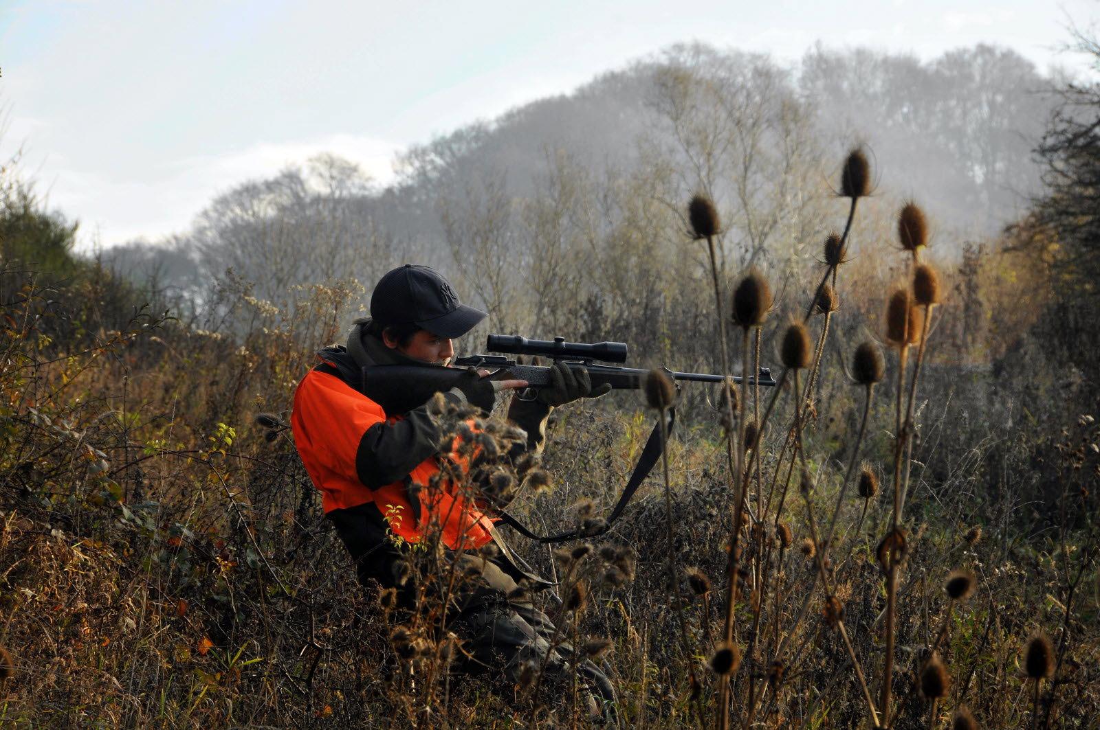 La chasse en MOSELLE: Forêts giboyeuses, traditions cynégétiques, espèces de gibier et réglementation dans ce département frontalier du Grand Est