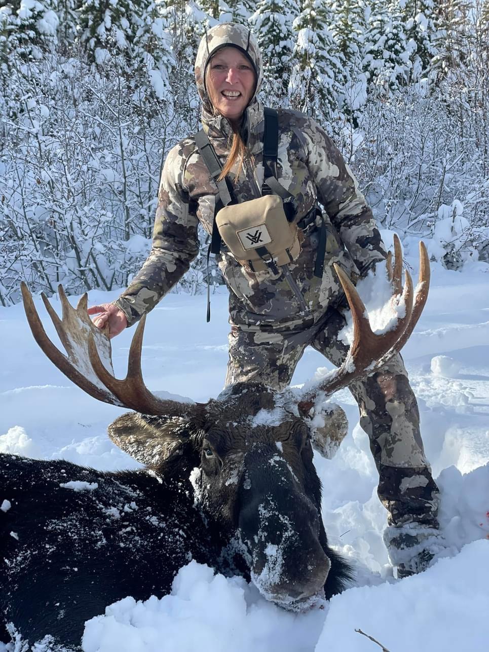 Moose down.