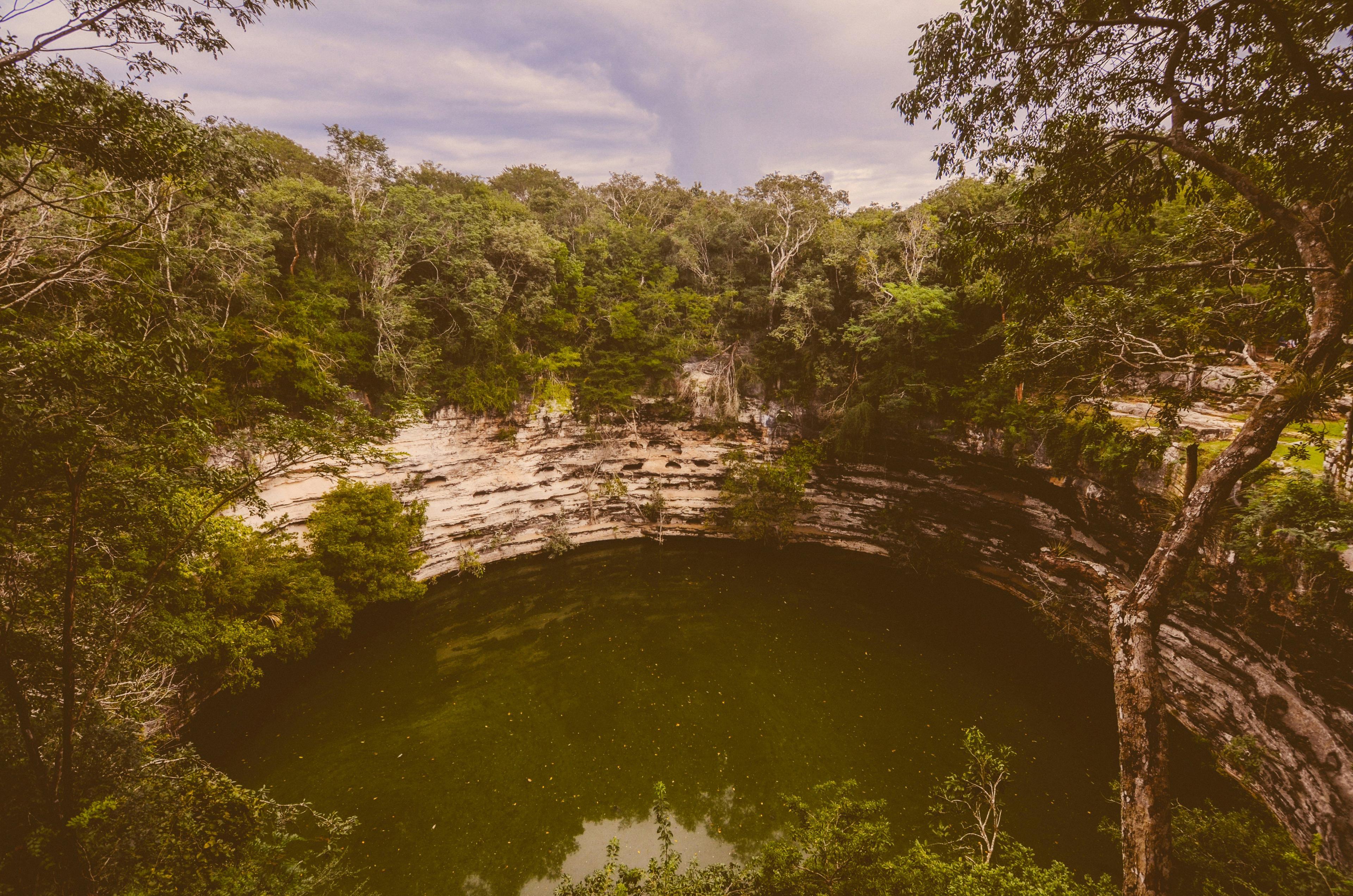 La Caza en Puebla, México: Descubre la Emoción de los Valles y Montañas – Guía Esencial para Cazadores con Secretos, Especies Únicas y Experiencias Inolvidables 