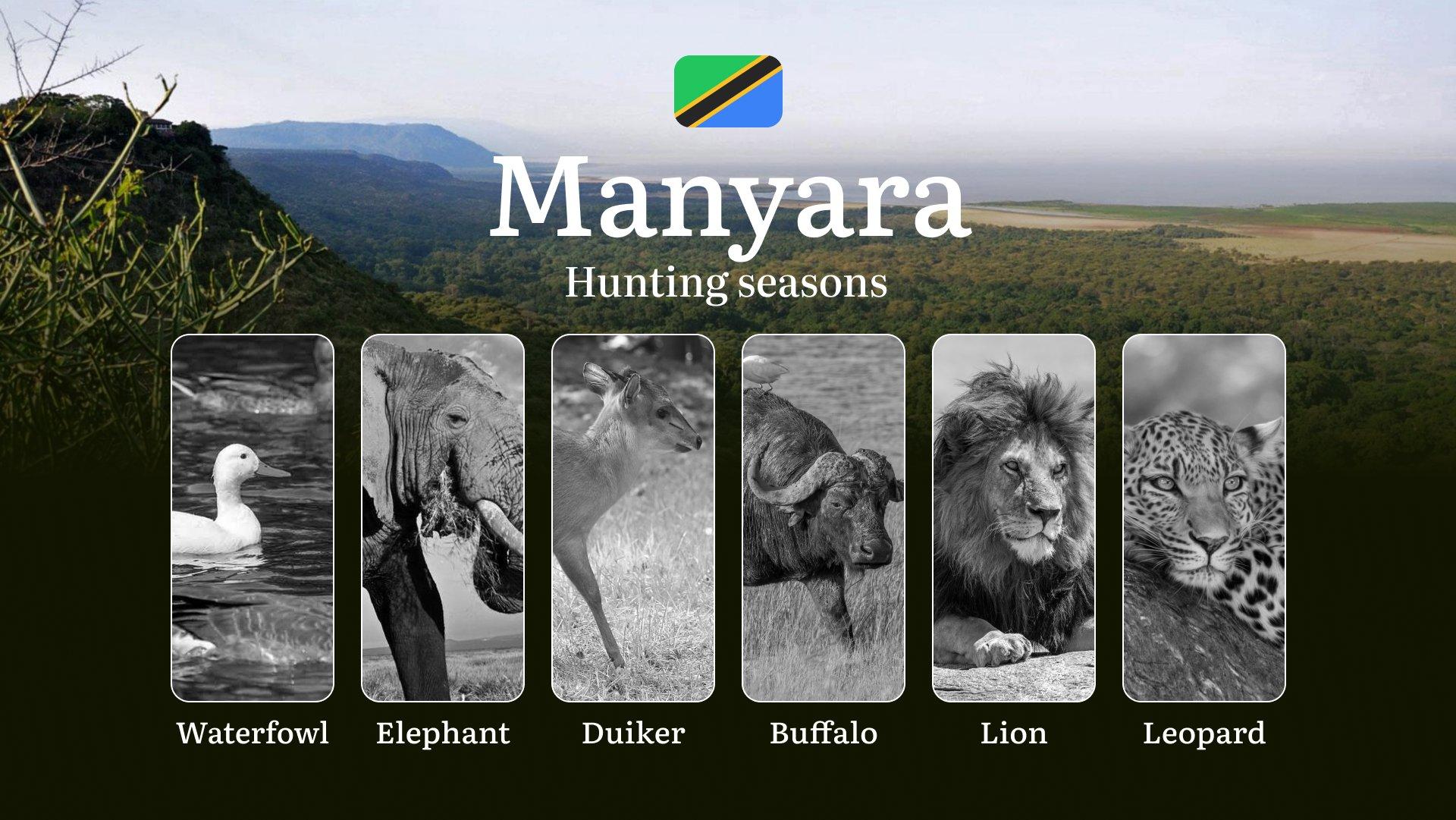 Hunting Date Ranges in Manyara: Species Available Throughout the Year, Seasonal Game Patterns, and Steps to Acquire an Official Hunting License