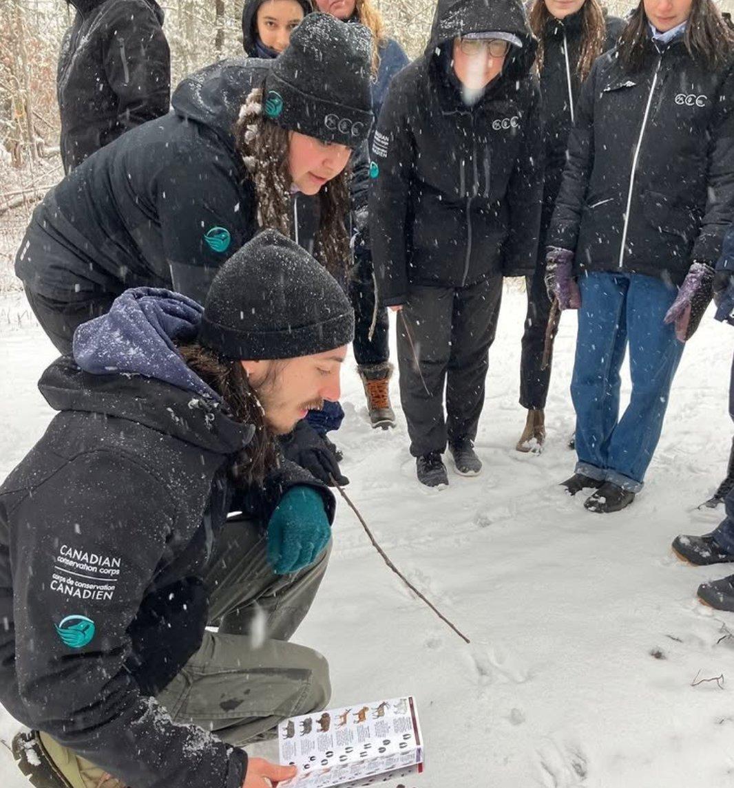 The Canadian Wildlife Federation (CWF) is one of Canada’s leading conservation organizations, dedicated to fostering appreciation for wildlife and preserving the country's natural heritage.