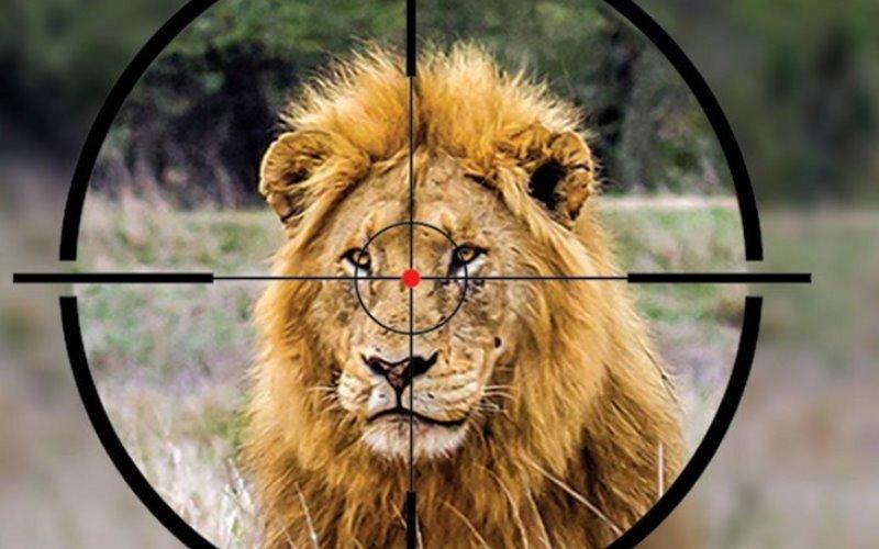 Trophy hunting: Import ban