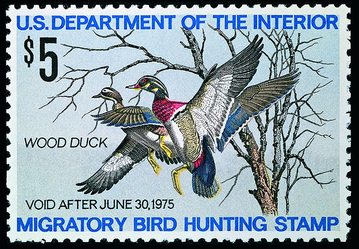 Nice stamp!