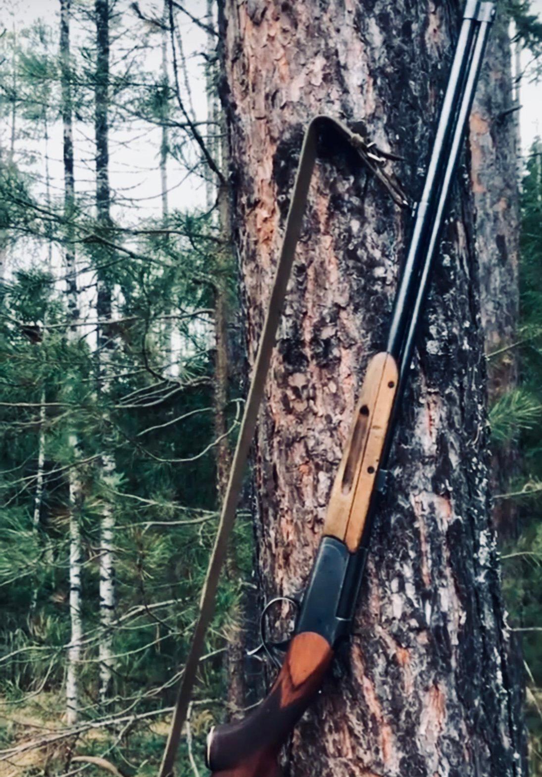 ИЖ-56 БЕЛКА: обзор ружья для охоты, история, характеристики, калибры, отзывы, фото.