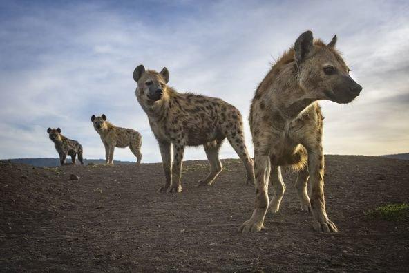 The Big Picture 2024 Photo Contest Finalists and Winners