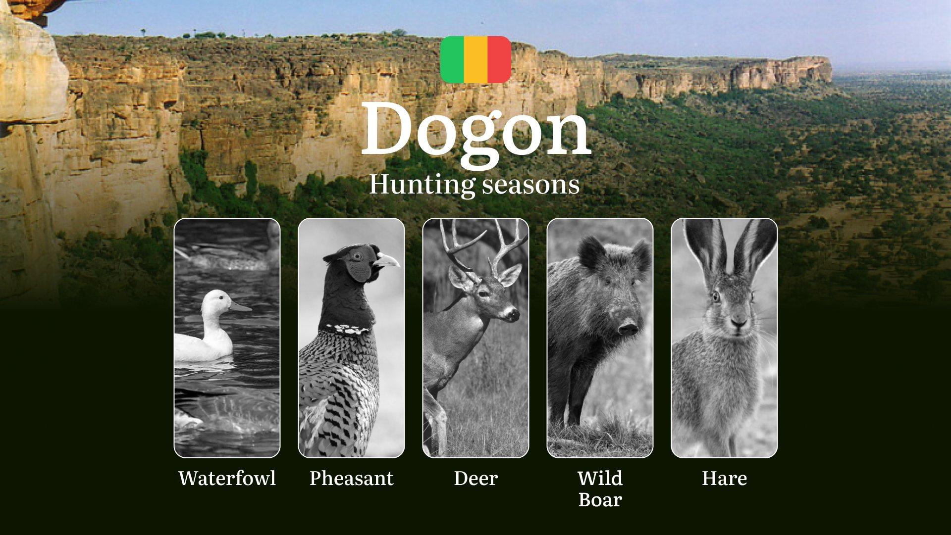 Hunting Periods in Dogon: Peak Hunting Periods for Large and Small Game, What’s Off Limits, Rules and Exceptions, Getting Your Hunting Pass, Gear, Spots, and Best Times