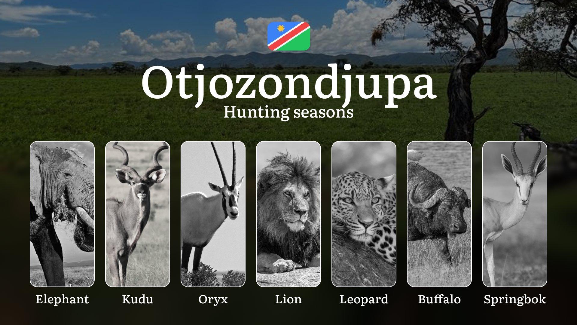 Hunting Seasons in Otjozondjupa: Territorial Regulations, Getting Licensed, Legal Risks, Planning, and Equipment Choices