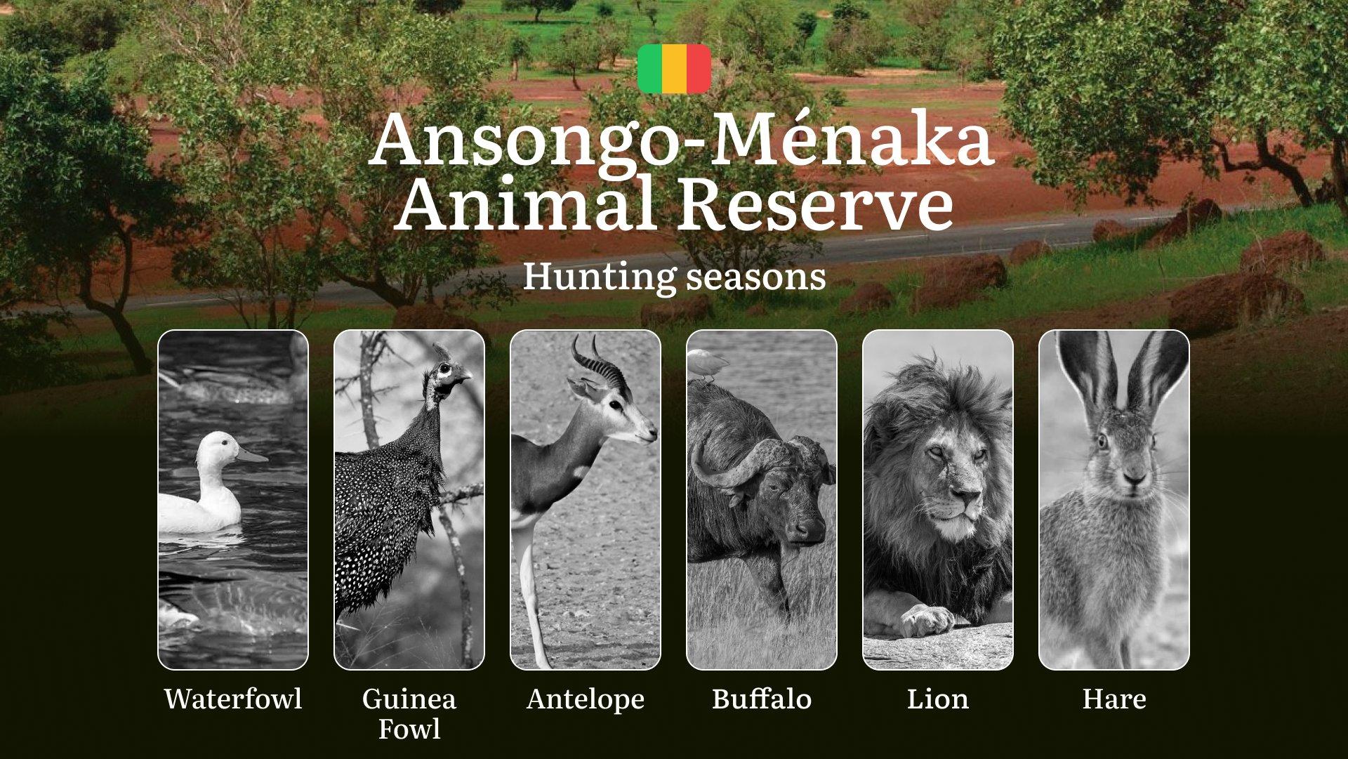 Hunting Periods in Ansongo-Ménaka Animal Reserve: Peak Hunting Periods for Large and Small Game, What’s Off Limits, Rules and Exceptions, Getting Your Hunting Pass, Gear, Spots, and Best Times