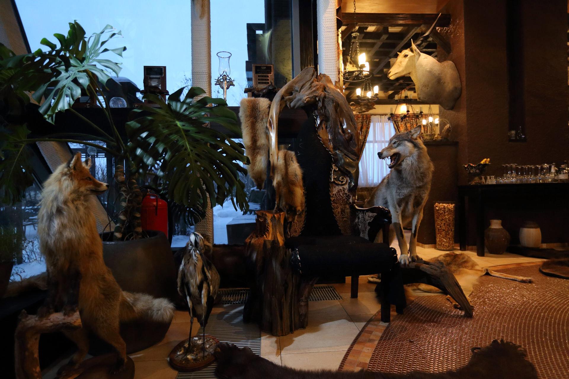 Stylish Home Interiors Featuring Hunting Trophies: Bears, Foxes, Deer, and Iconic African Wildlife