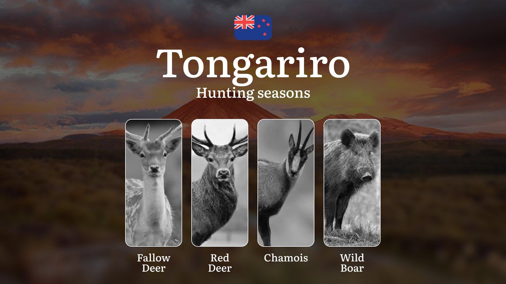 TONGARIRO National Park Hunting Seasons, Regulations, Licenses and Tips, Game Types and Best Times for Hunting, Gear and Tactics, Restrictions and Legal Limits