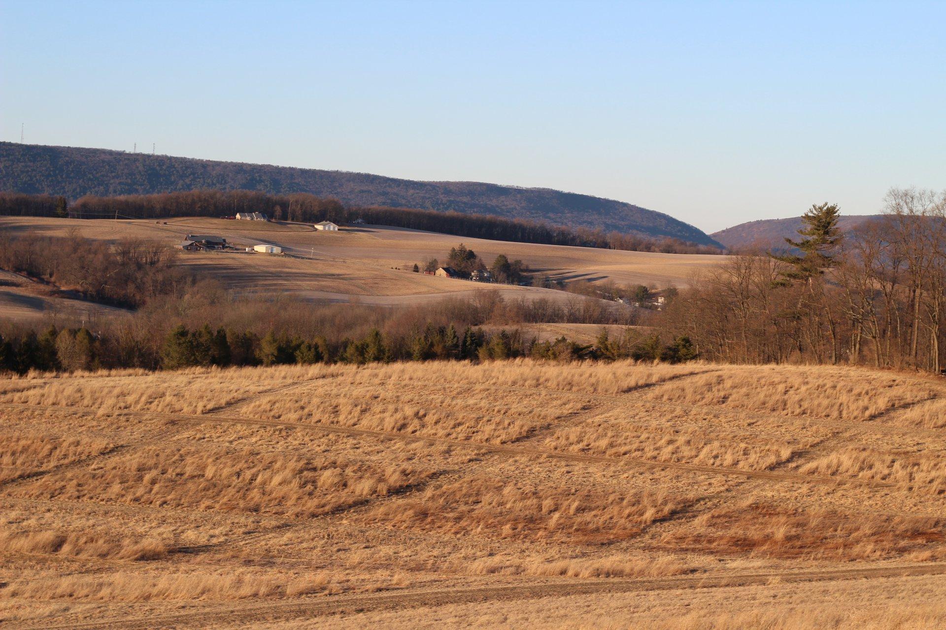 Clover Hollow Hunting Preserve