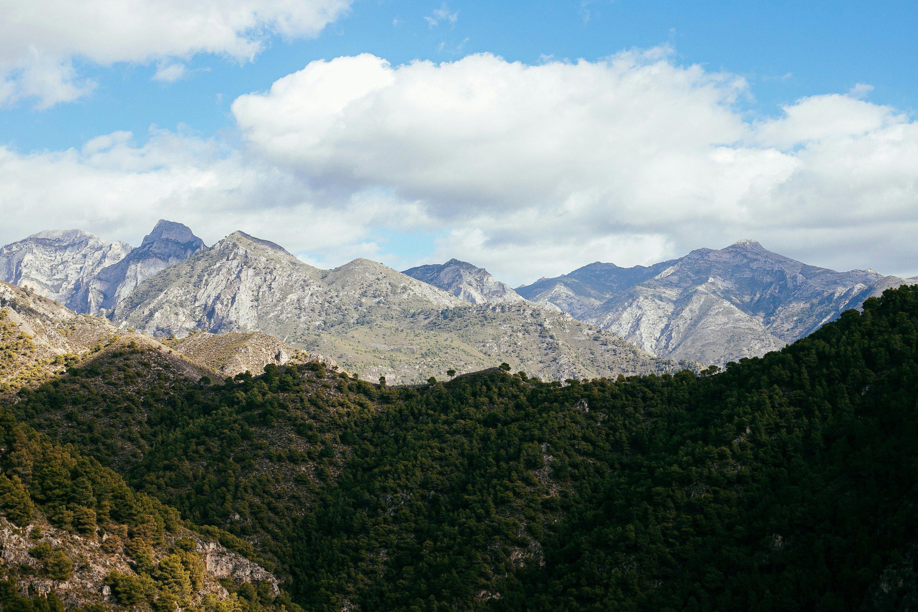 Caza en Girona: Caza de Alta Calidad en Zonas Boscosas, Pirineicas y Costeras de la Región Noreste de Cataluña