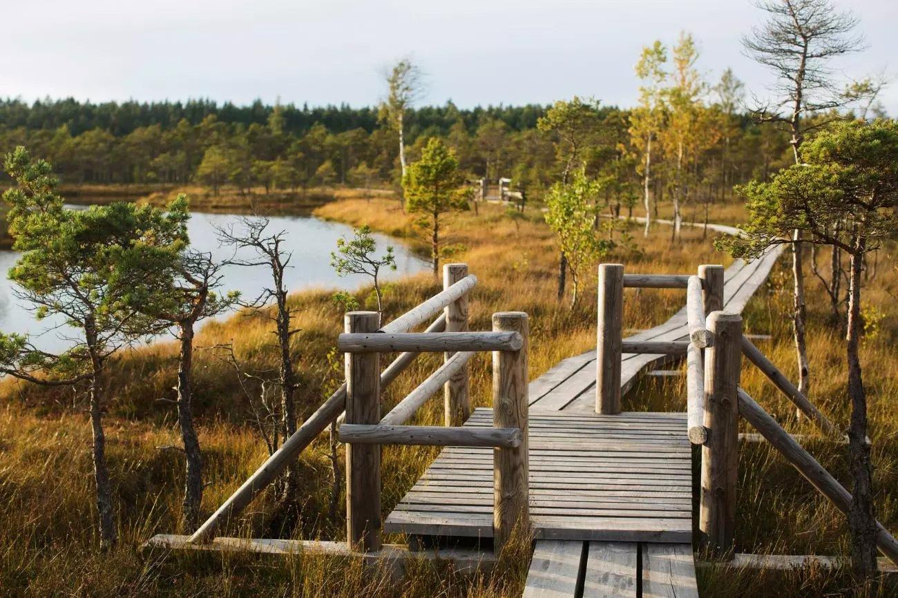 Ķemeru nacionālais parks – tā ir ļoti daudzveidīga 38 165 ha plaša teritorija.