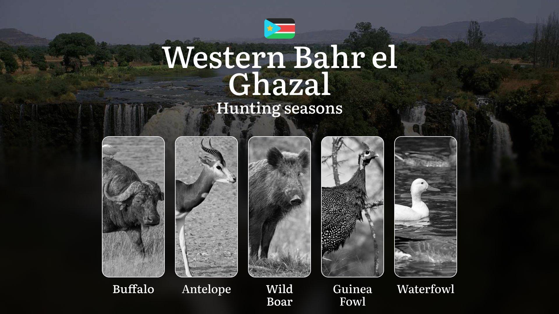 Hunting Calendar for Western Bahr el Ghazal: Regulations, Permits, and Best Times for Hunting