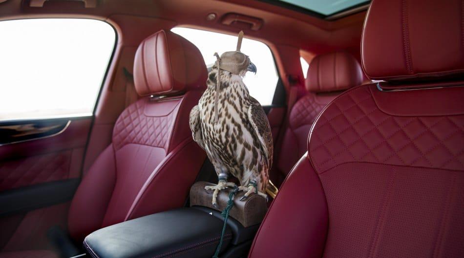 Bentley представляет автомобиль для любителей соколиной охоты