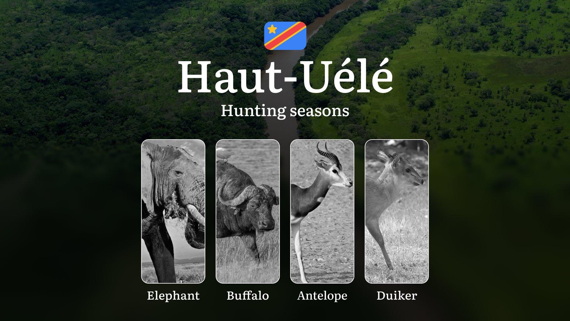 Hunting Calendar for Haut-Uélé: Regional Hunting Rules, Licensing Procedures, Off-Season Violation Penalties, and Strategic Advice on Timing, Equipment, and Techniques 