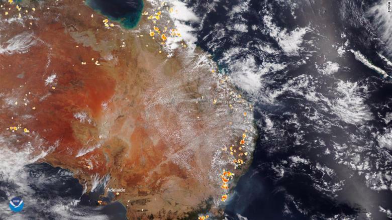 Australia is being ravaged by the worst wildfires seen in decades, with large swaths of the country devastated since the fire season began in late July.