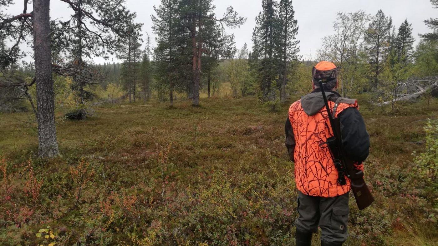 Oulu Hunting Guide: Characteristics, Seasons, Clubs and Communities, Laws and Hunting Seasons