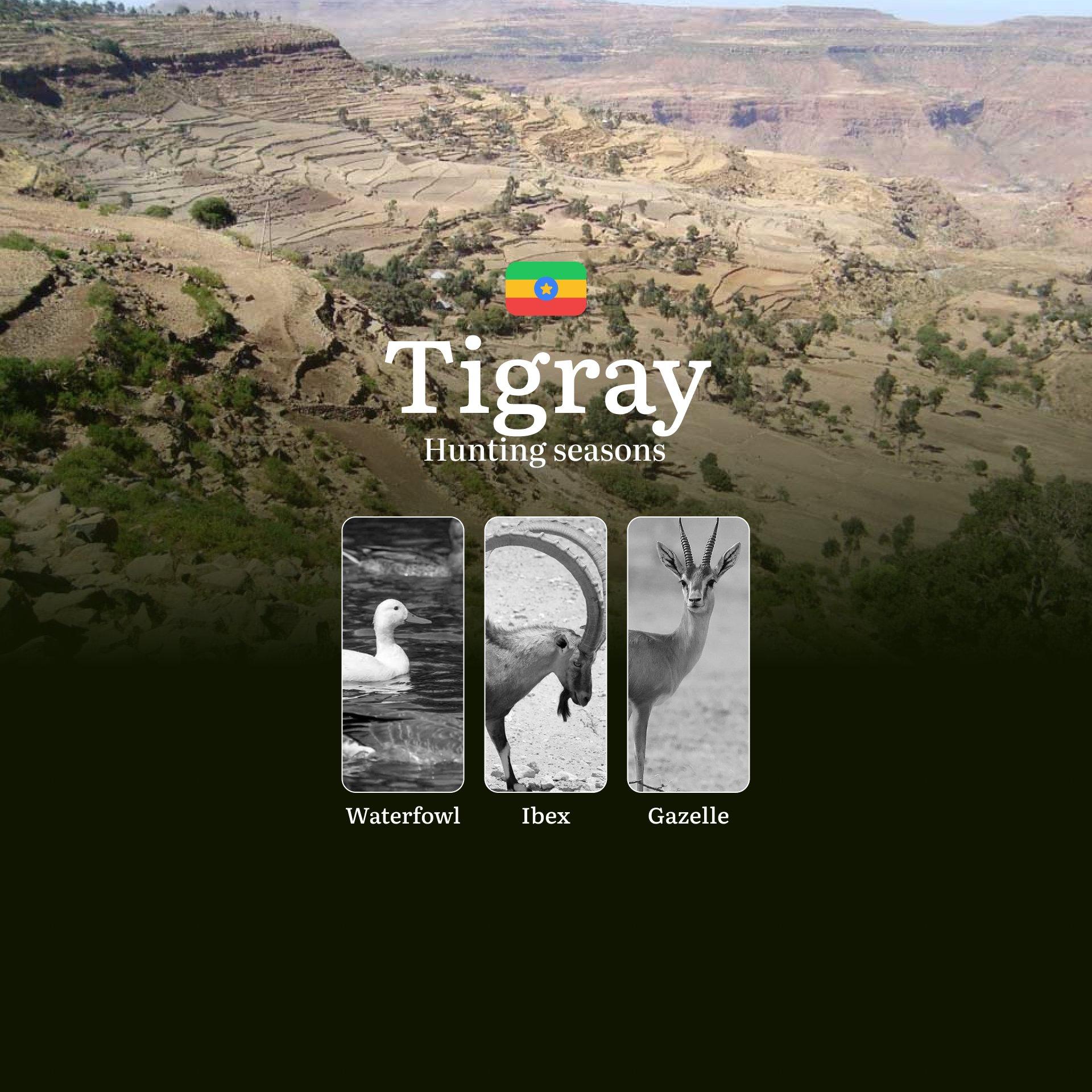 TIGRAY Region, Ethiopia: Hunting Seasons, Features, Licenses and Current Regulations, Recommendations for Choosing Time and Location