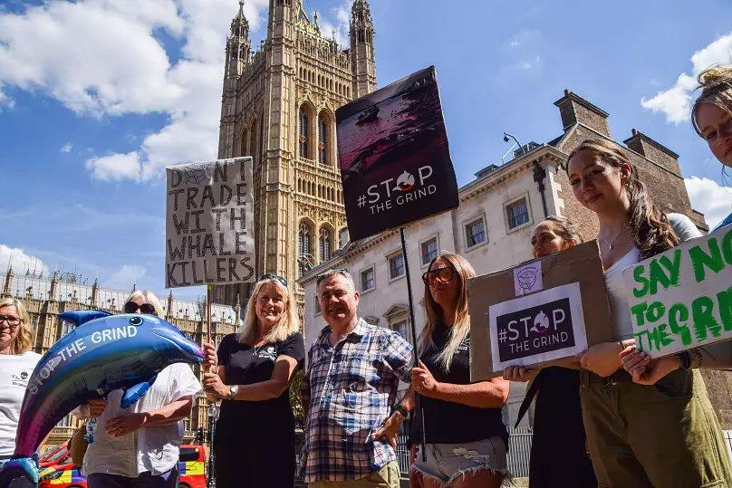Faroe Islanders are capping the number of dolphins they kill - but campaigners say it won’t save any